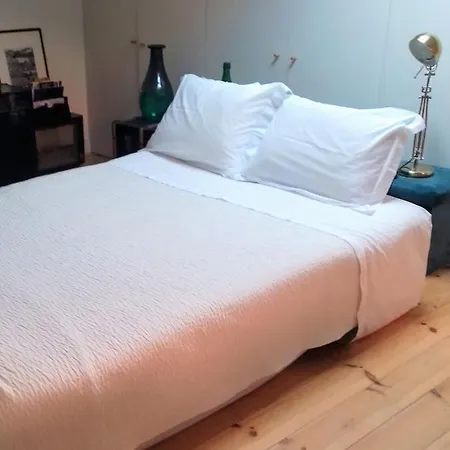 Formosa Charming Loft In Porto's Heart 公寓 *